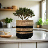 Set of 3 Hand-Braided Jute Planters with Plastic Liners – Classic Black & Natural Striped Design for Bold, Modern Styling - ETTYL
