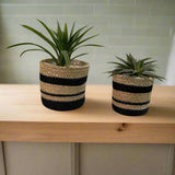 Set of 3 Hand-Braided Jute Planters with Plastic Liners – Classic Black & Natural Striped Design for Bold, Modern Styling - ETTYL