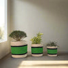 Set of 3 Hand-Braided Jute Planters with Plastic Liners – Modern Green Stripe Design - ETTYL