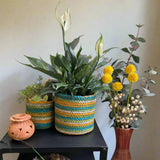 Set of 3 Hand-Braided Jute Planters – Green, Teal, Mustard, Beige