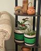 Set of 3 Jute Planters – Green Stripe with Black & Natural Accents - ETTYL