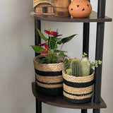 Set of 3 Hand-Braided Jute Planters – Natural & Black Rustic Style
