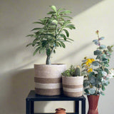 Set of 3 Jute Planters – Beige & Taupe Hand-Braided Neutral Decor