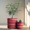 Set of 3 Colorful Hand-Braided Jute Planters – Eco-Friendly Decor - ETTYL