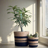 Set of 3 Hand-Braided Jute Planters – Natural & Black Rustic Style