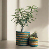 Set of 3 Hand-Braided Jute Planters – Green, Teal, Mustard, Beige