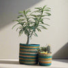 Set of 3 Hand-Braided Jute Planters – Green, Teal, Mustard, Beige