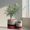 Set of 3 Jute Planters – Beige, Black & Terracotta Color-Block Design