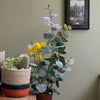 Set of 3 Jute Planters – Beige, Black & Terracotta Color-Block Design