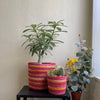 Set of 3 Colorful Hand-Braided Jute Planters – Eco-Friendly Decor - ETTYL