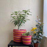 Set of 3 Colorful Hand-Braided Jute Planters – Eco-Friendly Decor - ETTYL