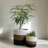 Set of 3 Hand-Braided Jute Planters – Rustic White, Brown & Black