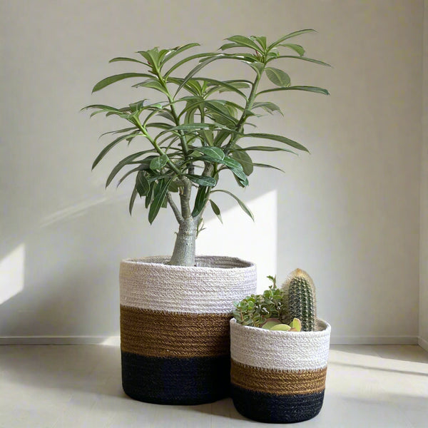 Set of 3 Hand-Braided Jute Planters – Rustic White, Brown & Black