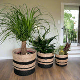 Set of 3 Hand-Braided Jute Planters – Natural & Black Rustic Style