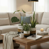 Set of 3 Hand-Braided Jute Planters – Rustic White, Brown & Black