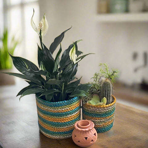 Set of 3 Hand-Braided Jute Planters – Green, Teal, Mustard, Beige - ETTYL