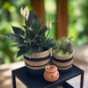 Set of 3 Hand-Braided Jute Planters – Natural & Black Rustic Style