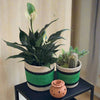 Set of 3 Jute Planters – Green Stripe with Black & Natural Accents - ETTYL