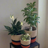 Set of 3 Jute Planters – Beige, Black & Terracotta Color-Block Design