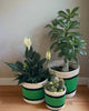 Set of 3 Jute Planters – Green Stripe with Black & Natural Accents - ETTYL