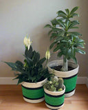 Set of 3 Jute Planters – Green Stripe with Black & Natural Accents - ETTYL