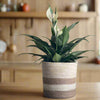 Set of 3 Jute Planters – Beige & Taupe Hand-Braided Neutral Decor