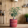 Set of 3 Colorful Hand-Braided Jute Planters – Eco-Friendly Decor - ETTYL