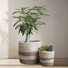 Set of 3 Jute Planters – Beige & Taupe Hand-Braided Neutral Decor
