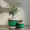 Set of 3 Jute Planters – Green Stripe with Black & Natural Accents - ETTYL