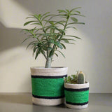 Set of 3 Jute Planters – Green Stripe with Black & Natural Accents - ETTYL