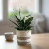 Set of 3 Jute Planters – Beige & Taupe Hand-Braided Neutral Decor