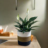 Set of 3 Hand-Braided Jute Planters – Rustic White, Brown & Black
