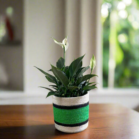 Set of 3 Jute Planters – Green Stripe with Black & Natural Accents - ETTYL