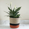Set of 3 Jute Planters – Beige, Black & Terracotta Color-Block Design - ETTYL