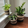 Set of 3 Hand-Braided Jute Planters – Natural & Black Rustic Style - ETTYL