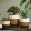Set of 3 Hand-Braided Jute Planters with Plastic Liners – Natural, Earth-Tone Baskets - ETTYL
