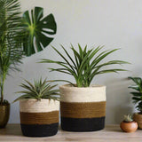 Set of 3 Hand-Braided Jute Planters with Plastic Liners – Natural, Earth-Tone Baskets - ETTYL