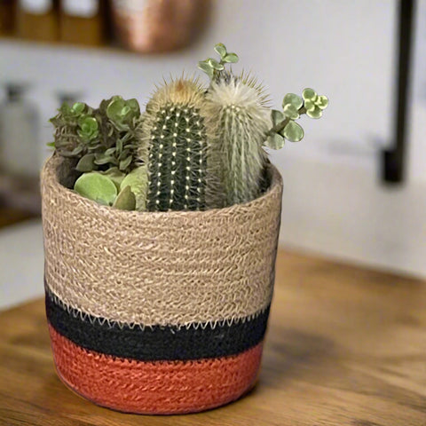 Set of 3 Jute Planters – Beige, Black & Terracotta Color-Block Design